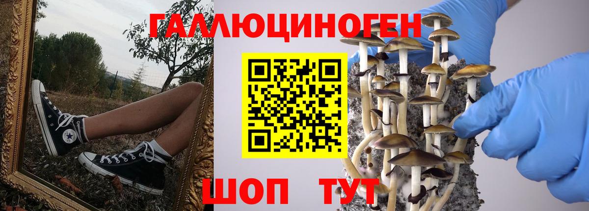 Галлюциногенные грибы мицелий  Вход с VPN  Златоуст  Галлюциногенные грибы Cubensis 